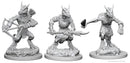 Dungeons & Dragons: Nolzur's Marvelous Unpainted Miniatures - W01 Kobolds