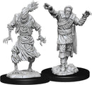 Dungeons & Dragons: Nolzur's Marvelous Unpainted Miniatures - W14 Scarecrow & Stone Cursed