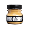 Pro Acryl Weathering Pigments - Raw Sienna