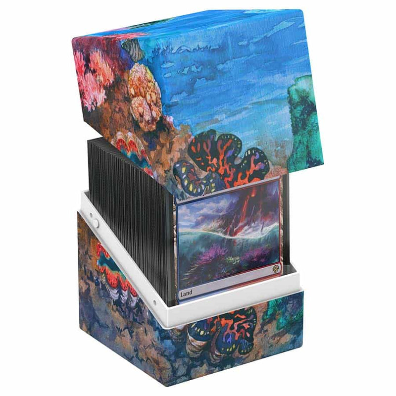 100+ Standard Size Boulder Deck Case